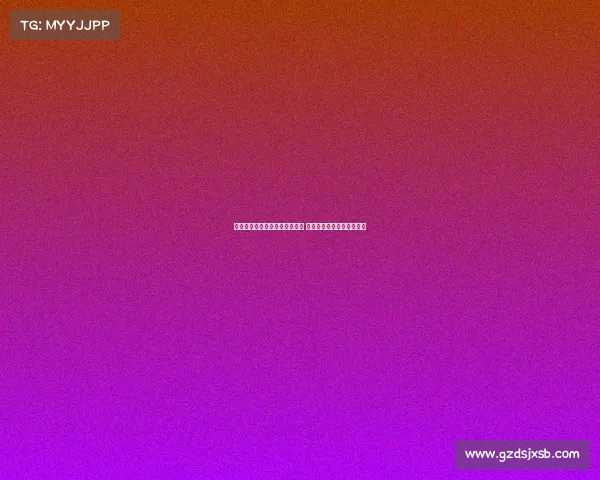 网球比赛的完整流程与规则解析 从热身到决胜局的全程解读